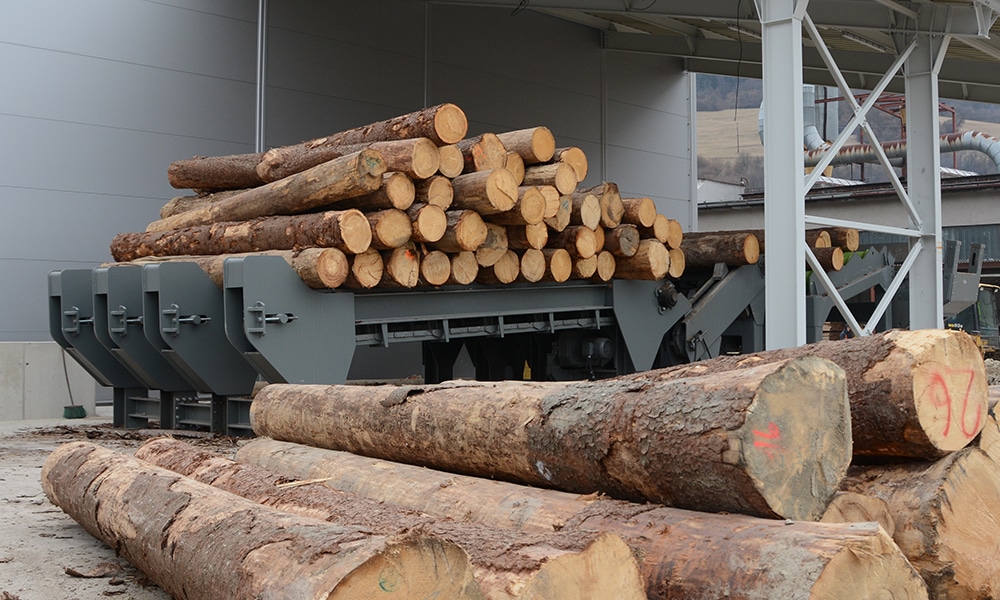 Heavy duty log decks with automated supplying of logs